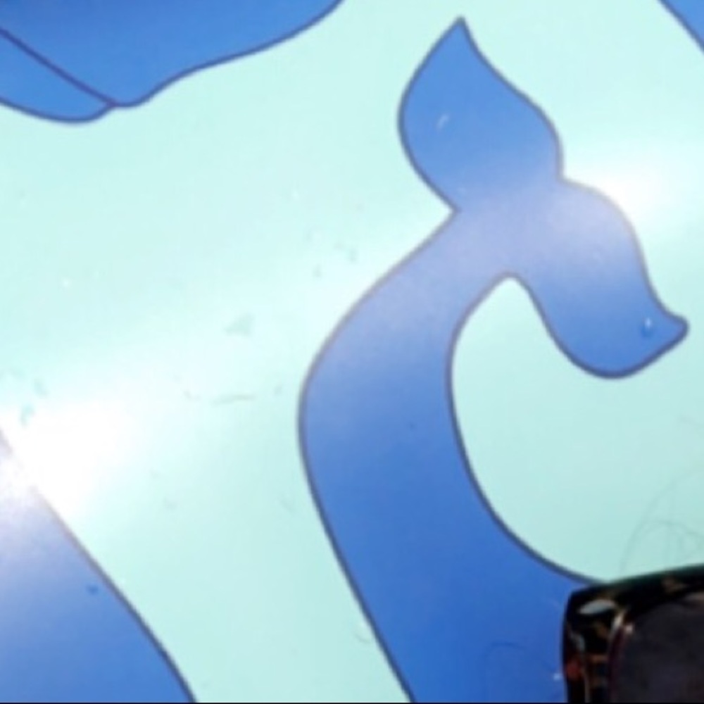 Meet your Posher, Ali